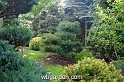 wbgarden spring 15